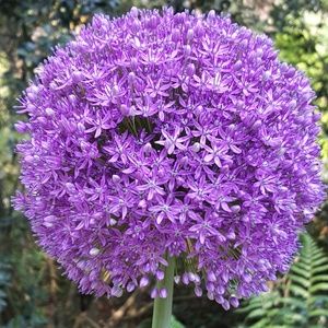 Meet your Posher, Liz